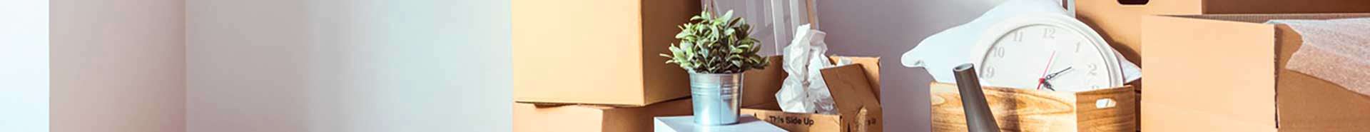 Renovate or Downsize?